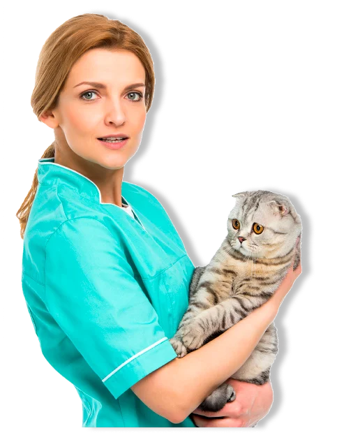 doc