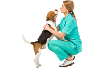 Vet with a dog